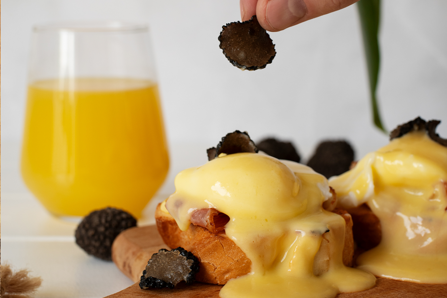En este momento estás viendo Los Beneficios de la Trufa Negra en la Gastronomía Soria: Sabor y Salud