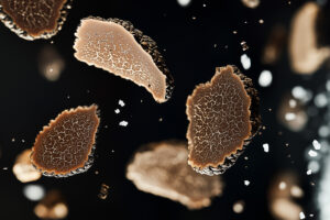 Lee más sobre el artículo Soria y su Riqueza Micológica: Trufas y Más en 2025