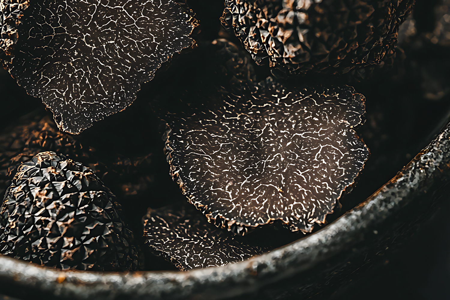 En este momento estás viendo Soria y sus Fiestas Gastronómicas en 2025: El Atractivo de la Trufa Negra